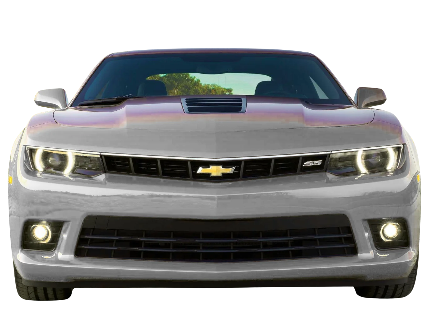 Why Choose 800Sayara for Camaro Garage in Mussafah